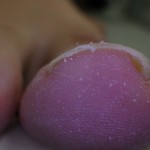 rimg0326