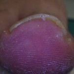 rimg0343